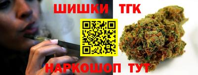 мдпв Бийск