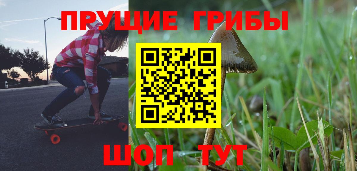 Киров  Галлюциногенные грибы Psilocybine cubensis  Вход с VPN  Псилоцибиновые грибы мицелий 